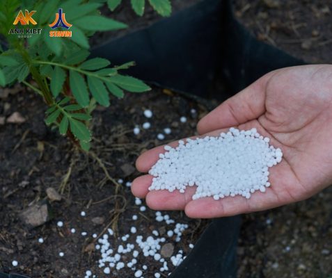 Phân Bón NPK Tháp Cao - bón ít, năng suất cao