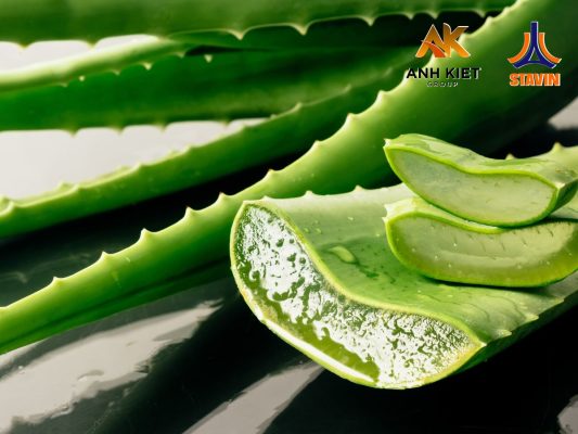 4 BƯỚC TRỒNG VÀ CHĂM SÓC NHA ĐAM - PHÂN BÓN NPK THÁP CAO STAVIN