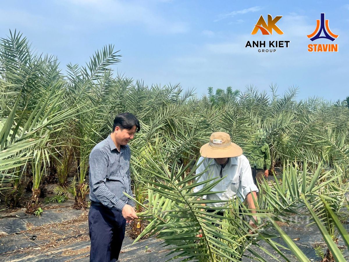 NÔNG NGHIỆP KẾT HỢP DU LỊCH THU HƠN 40 TỶ - PHÂN BÓN NPK THÁP CAO