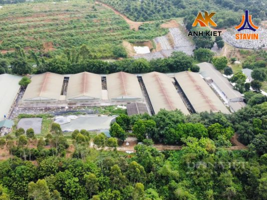 MÔ HÌNH KẾT HỢP NÔNG NGHIỆP VÀ DU LỊCH THU HƠN 40 TỶ MỖI NĂM - PHÂN BÓN NPK THÁP CAO