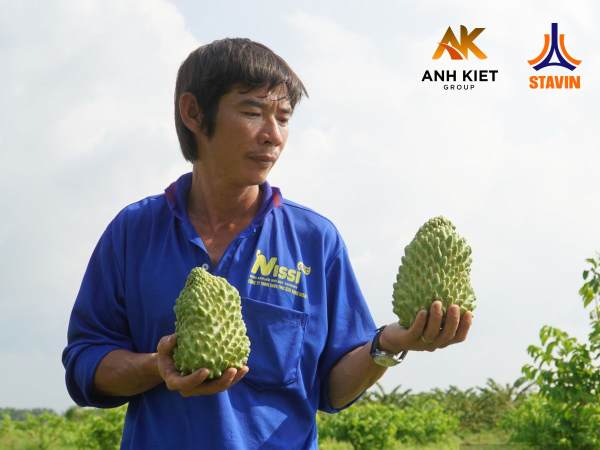 Na sầu riêng tại vườn của anh Nguyễn Thanh Toàn