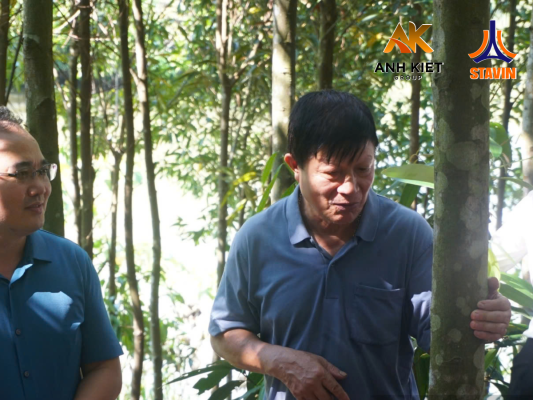 Cựu Chiến Binh Trở Thành Tỷ Phú Từ Cây Quế - Phân Bón NPK Tháp Cao