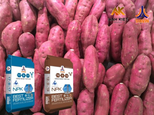 Phân bón NPK tháp cao giúp cải thiện chất lượng đất và cung cấp đầy đủ dinh dưỡng cho cây