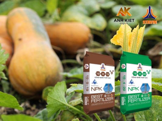 Bật mí lý do khiến bí "nhà người ta" quả to, ngọt thịt hơn nhà mình cùng phân bón NPK tháp cao