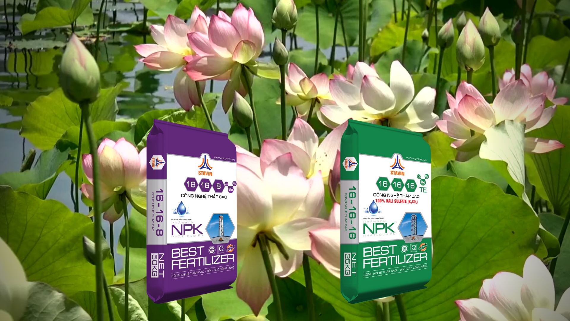 Phân bón NPK tháp cao – Đồng hành cùng bà con trên hành trình làm giàu